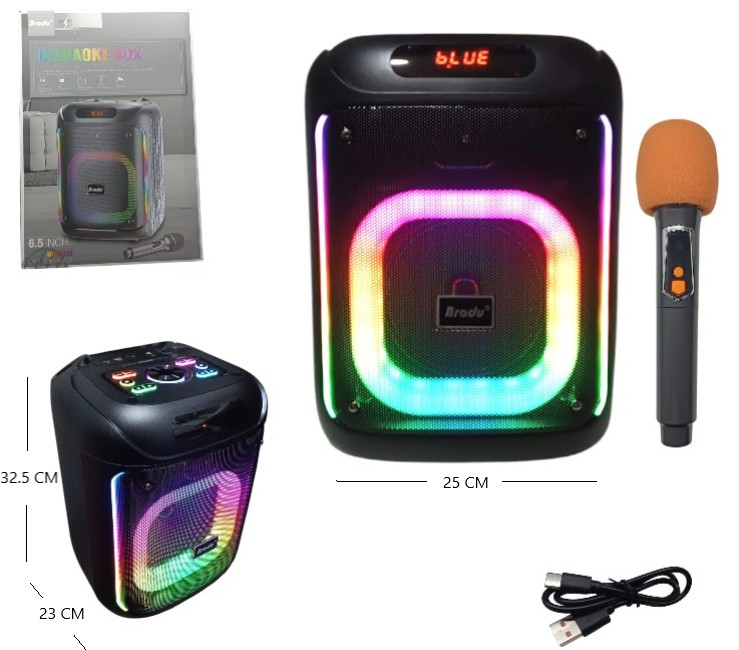 PARLANTE KARAOKE 6.5 PLG C/MICROFONO           BTS-2286