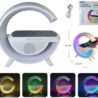 PARLANTE CON CARGADOR INALAMBRICO BT/FM          G78