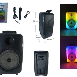 PARLANTE BT 8 C/LUZ MICROFONO             GTS-1802