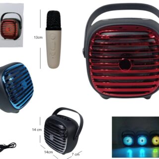 PARLANTE KARAOKE CON MICROFONO 4PLG          KTS-2010