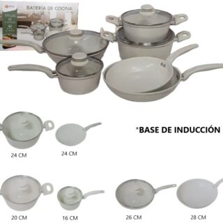 SET DE OLLAS DE COCINA 10PCS           OR-CK100A
