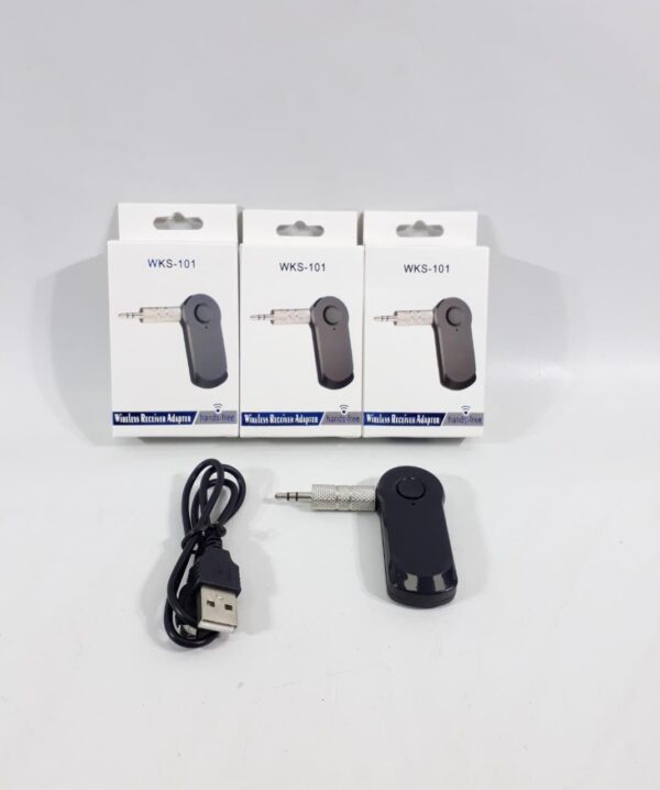 BT-52004 RECEPTOR BLUETOOTH               RAB101