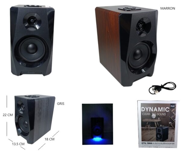 PARLANTE BT/ FM/ USB SD/ 4PLG                  BTS-1288