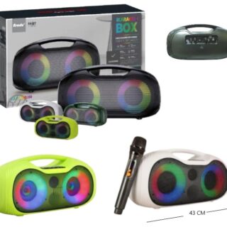 PARLANTE BT KARAOKE USB/SD 4PLG