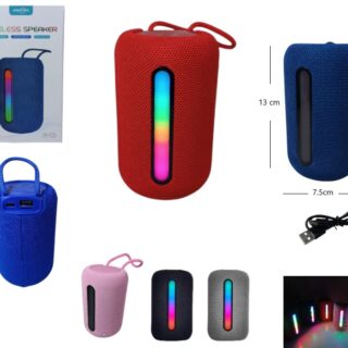 PARLANTE 2PLG BT CON LUZ