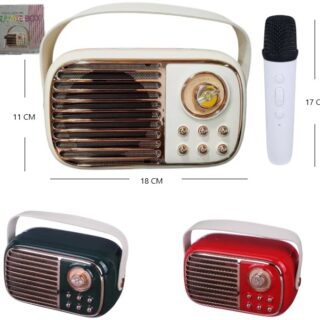 RADIO VINTAGE KARAOKE