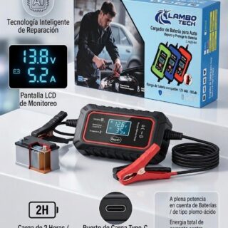 Cargador de batería para auto S25-197