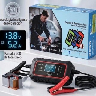 Cargador de batería para auto S25-199